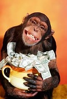 chimp money